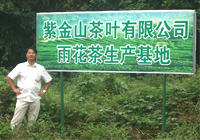 茶园美景