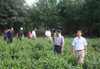 学习参观