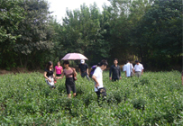 学习参观