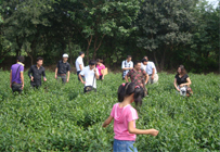 学习参观