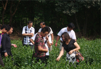 学习参观