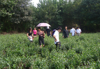 学习参观