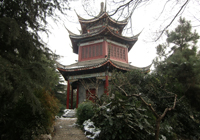 茶厂实景