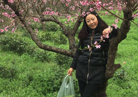 茶厂美景
