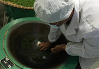 生产加工
