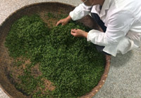 生产加工