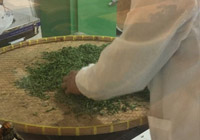 生产加工