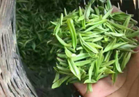 茶园美景