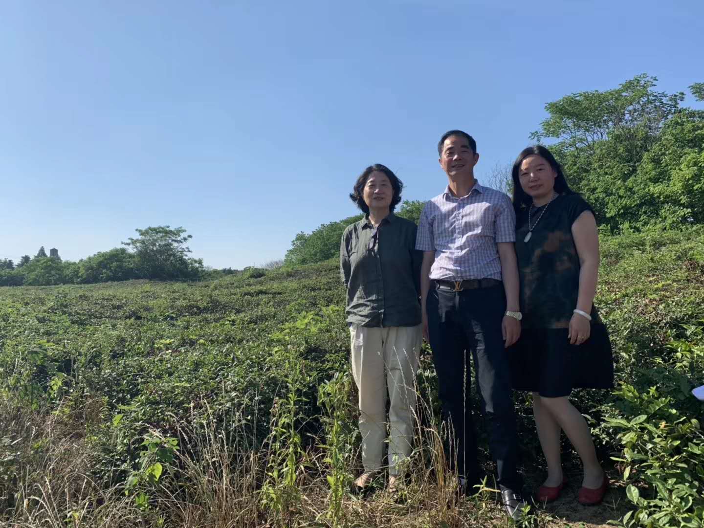 千亩基地