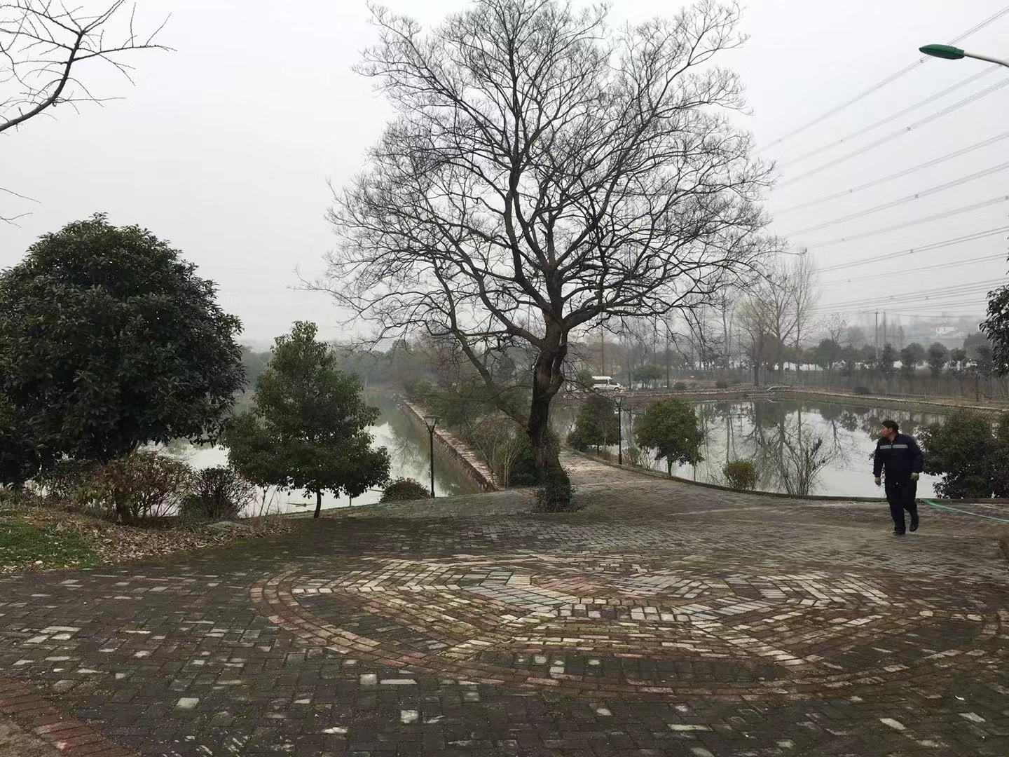 千亩基地